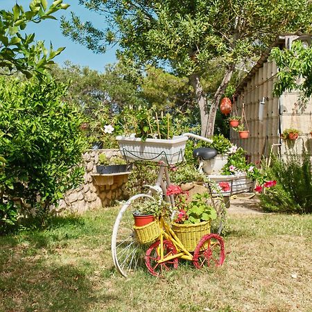Apartments With A Parking Space Cunski, Losinj - 7867 Ngoại thất bức ảnh