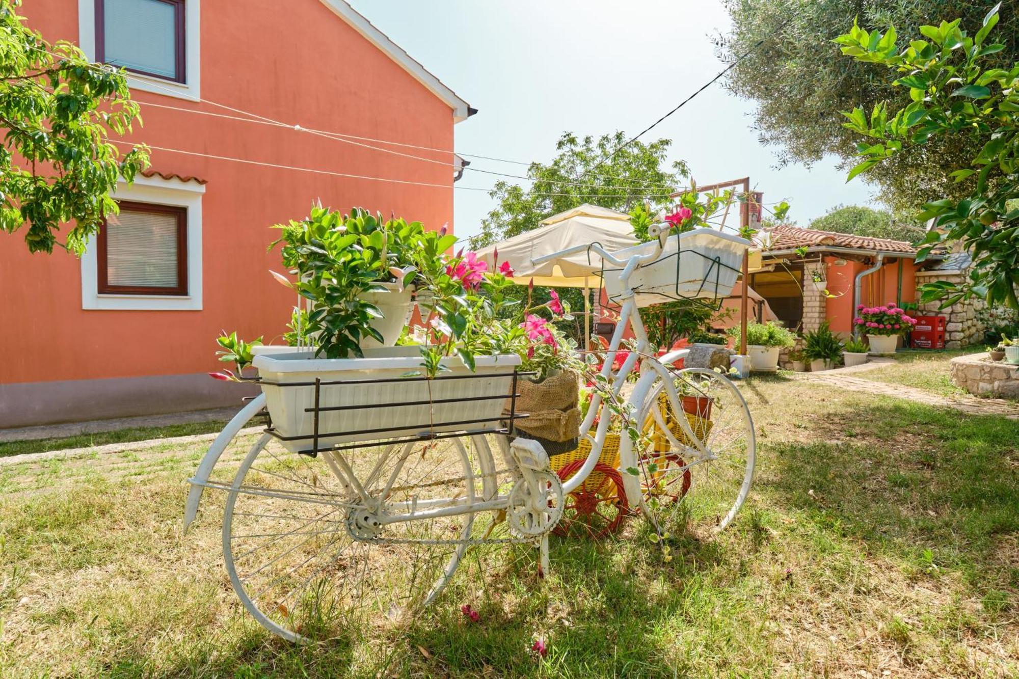 Apartments With A Parking Space Cunski, Losinj - 7867 Ngoại thất bức ảnh